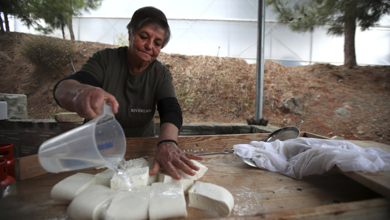 branza-halloumi-in-pericol-fermierii-ciprioti-se-confrunta-cu-o-epidemie-mortala-iar-solutia-depinde-de-acordul-turcilor-din-nord_69dca82a23a34