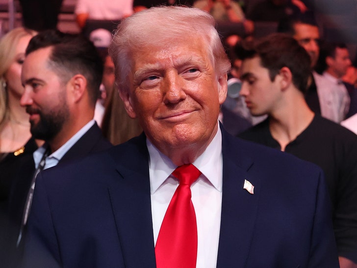 president-trump-takes-a-breather-from-iran-war-to-take-in-ufc-matches_69db8ce316500