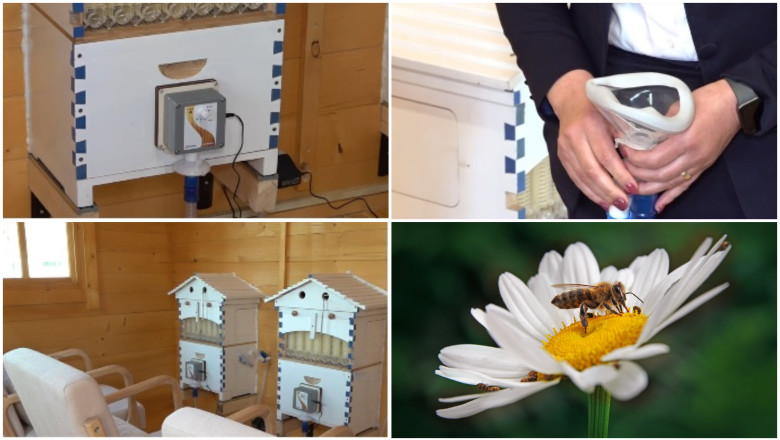 video-metoda-naturala-inovatoare-terapia-cu-aerul-din-stup-judetele-din-romania-unde-oamenii-pot-face-apiterapie-e-foarte-benefica_69e8495e29b4f