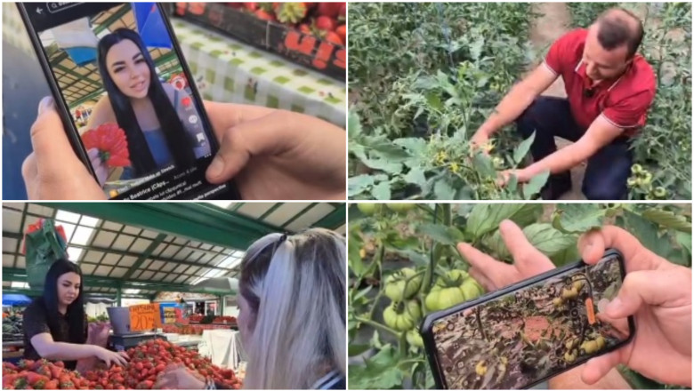 video-noul-trend-printre-comerciantii-din-piete-fructe-si-legume-promovate-pe-retelele-sociale-cum-ajuta-clipurile-online-vanzarile_6a11875c95098