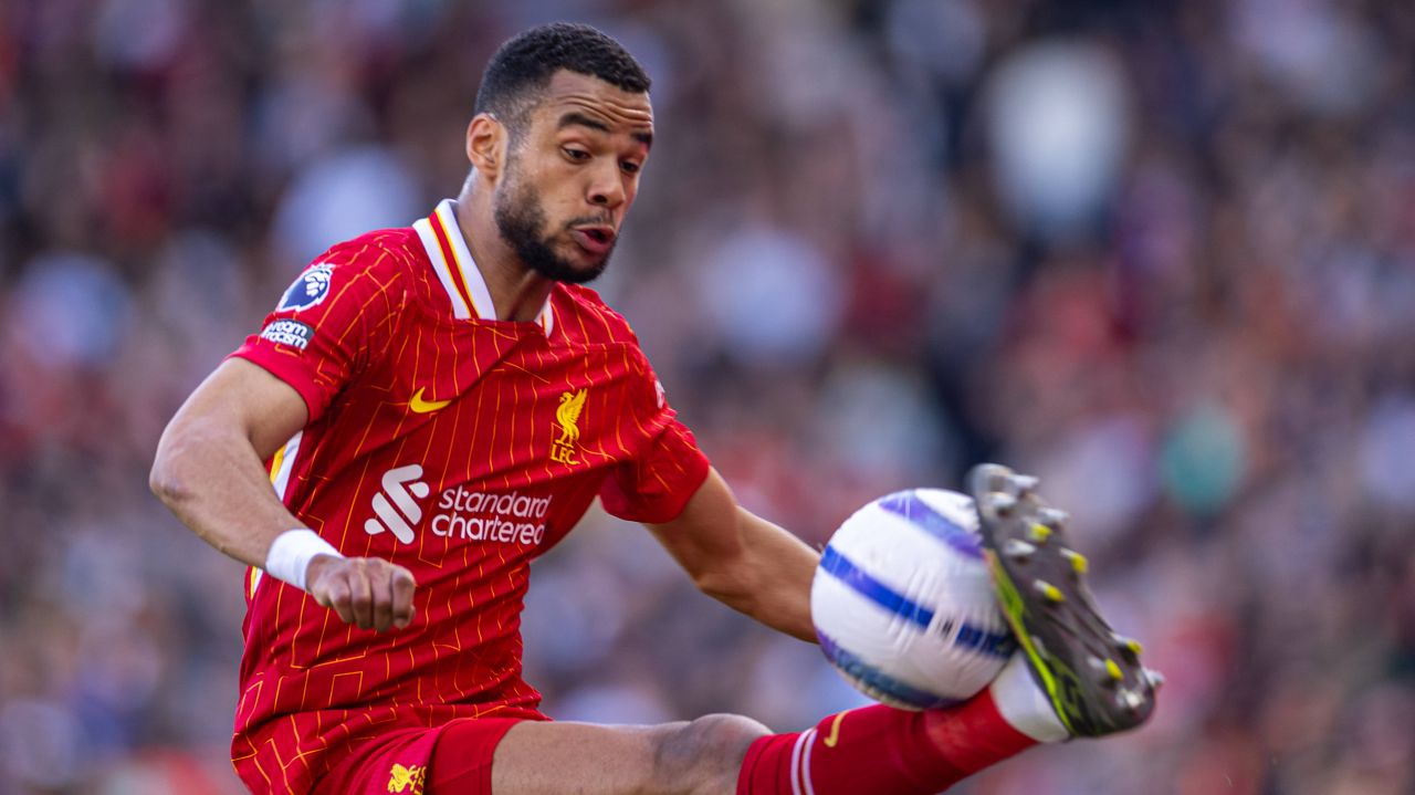 cody-gakpo-vrea-sa-plece-de-la-liverpool-tottenham-pregateste-mutarea-verii_6a3d2a27a7250