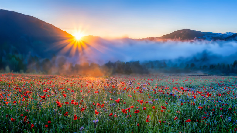 solstitiul-de-vara-2026-are-loc-in-acest-weekend-cate-ore-de-lumina-va-avea-cea-mai-lunga-zi-din-an-in-romania_6a37646e44711