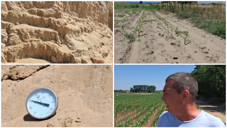 video-arsita-face-prapad-in-sahara-olteniei-culturi-intregi-in-pericol-din-cauza-temperaturilor-extreme-e-dezastru_6a44c0a0b4900