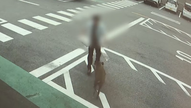 video-un-mistret-innebunit-a-bagat-patru-oameni-in-spital-dupa-un-atac-in-orasul-toyota-imagini-de-pe-camerele-de-supraveghere_6a5858ea9e0e1